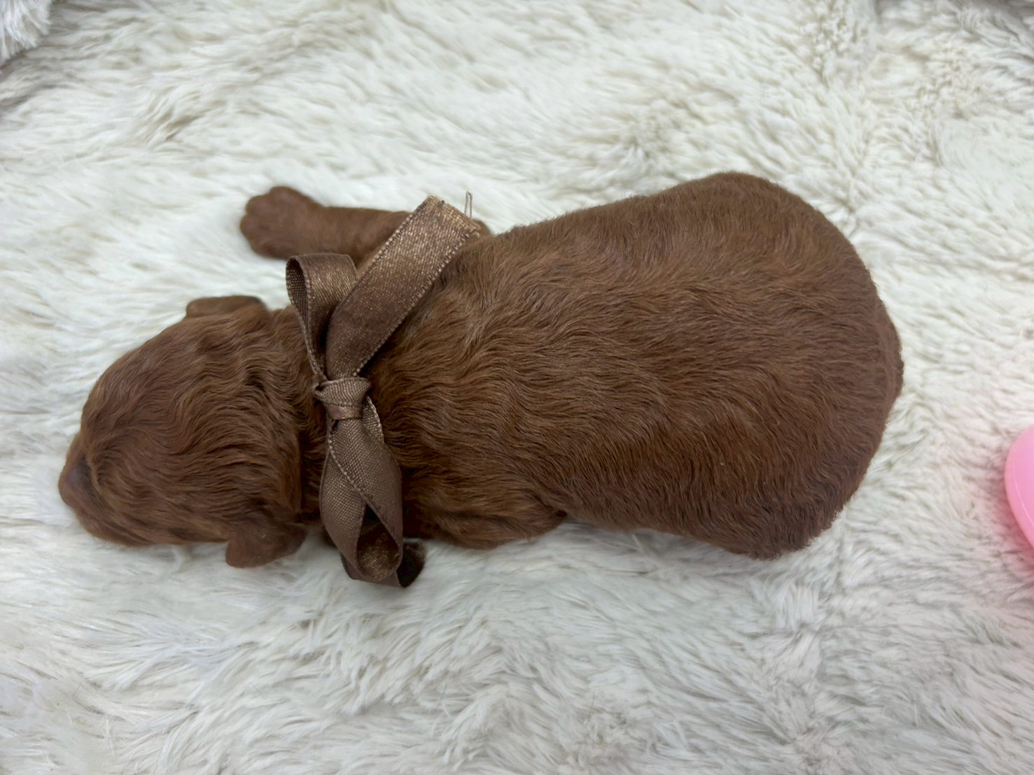赤ちゃん写真1-3