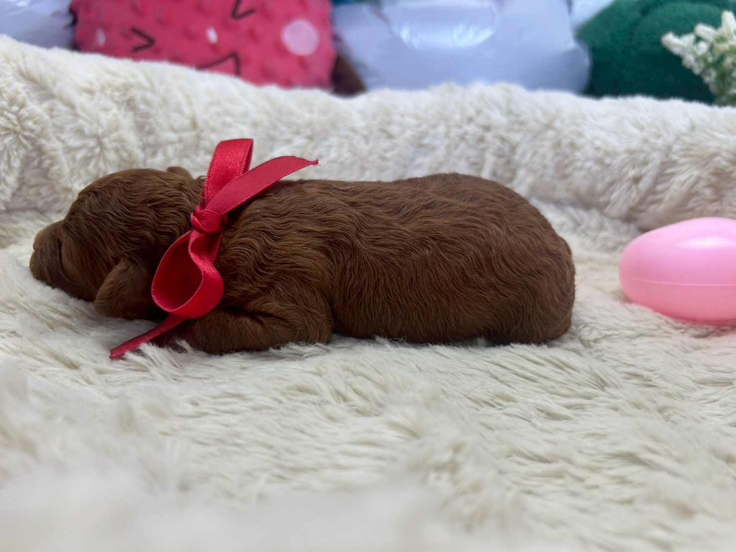 赤ちゃん写真1-2