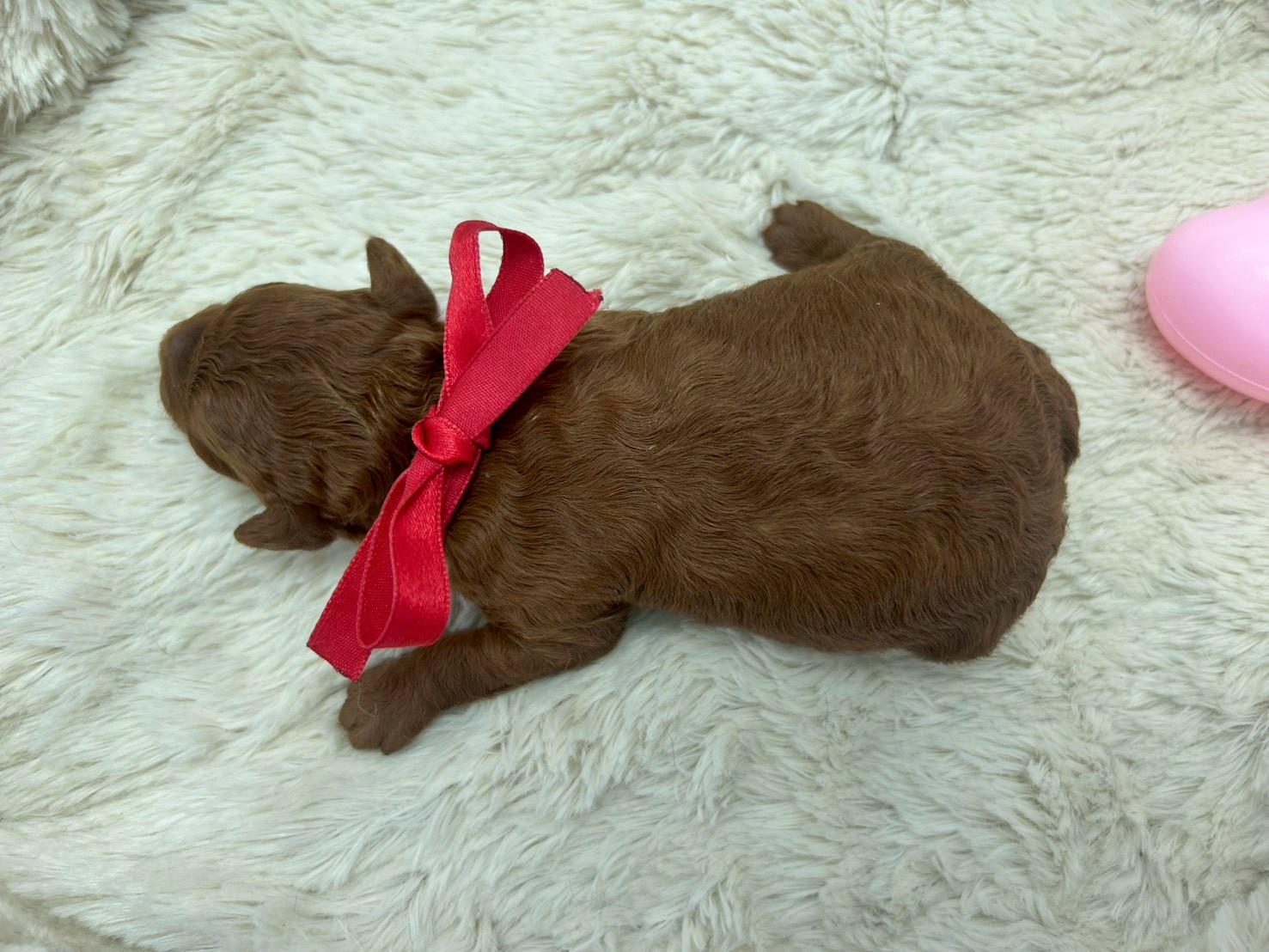 赤ちゃん写真1-3