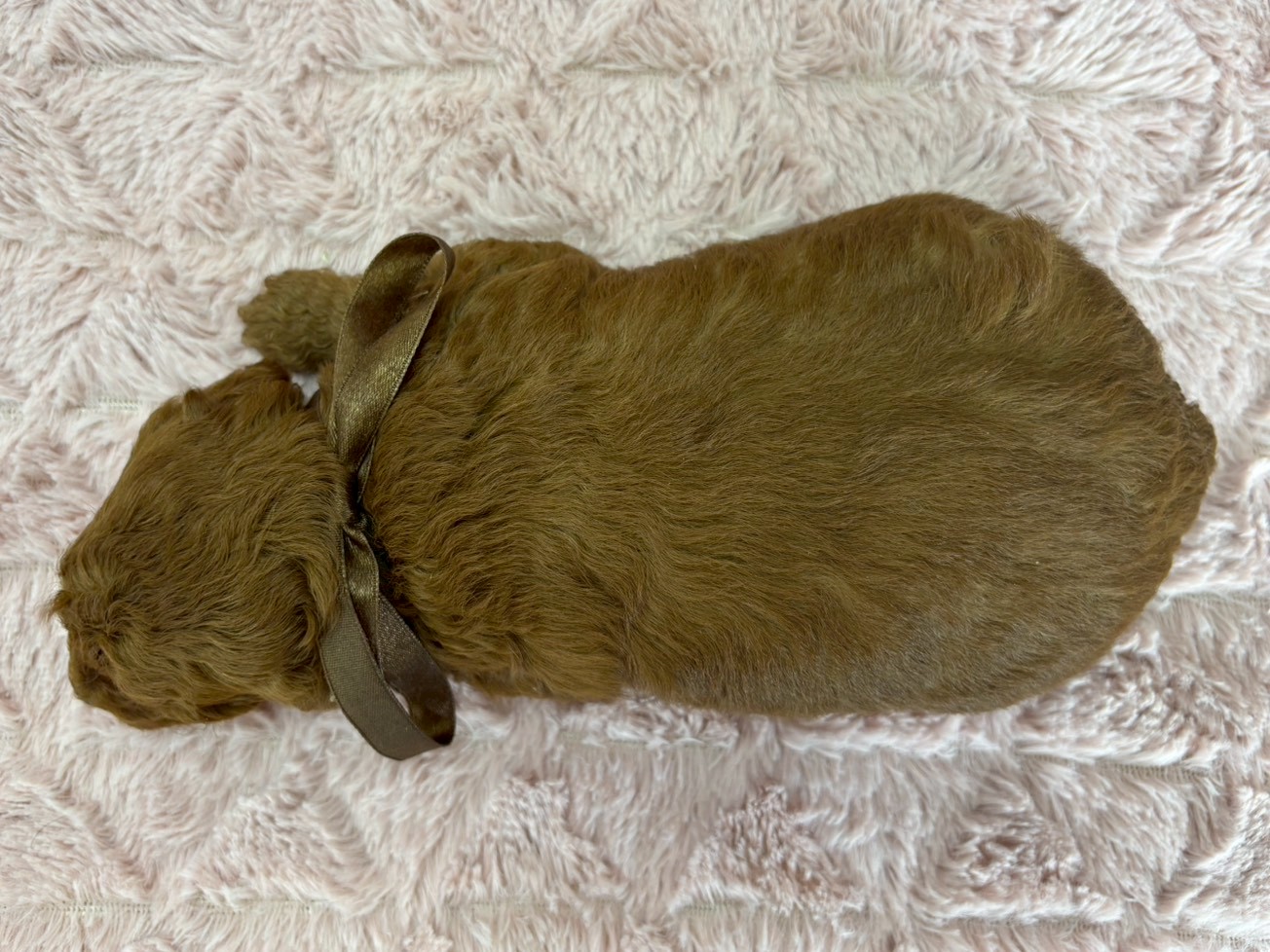赤ちゃん写真2-3