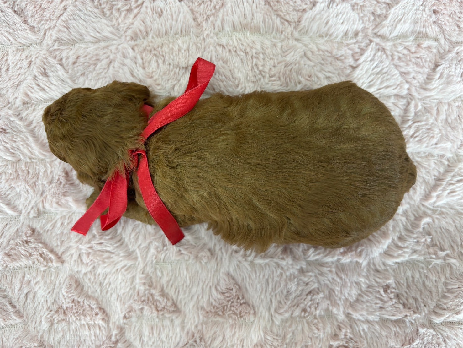 赤ちゃん写真2-3