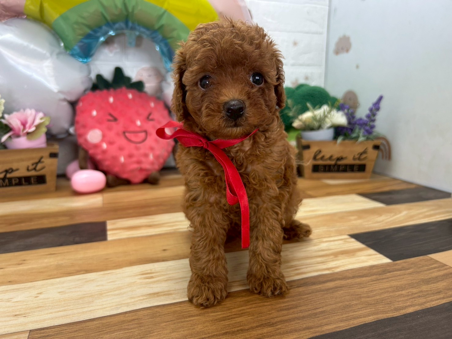 赤ちゃん写真3-1