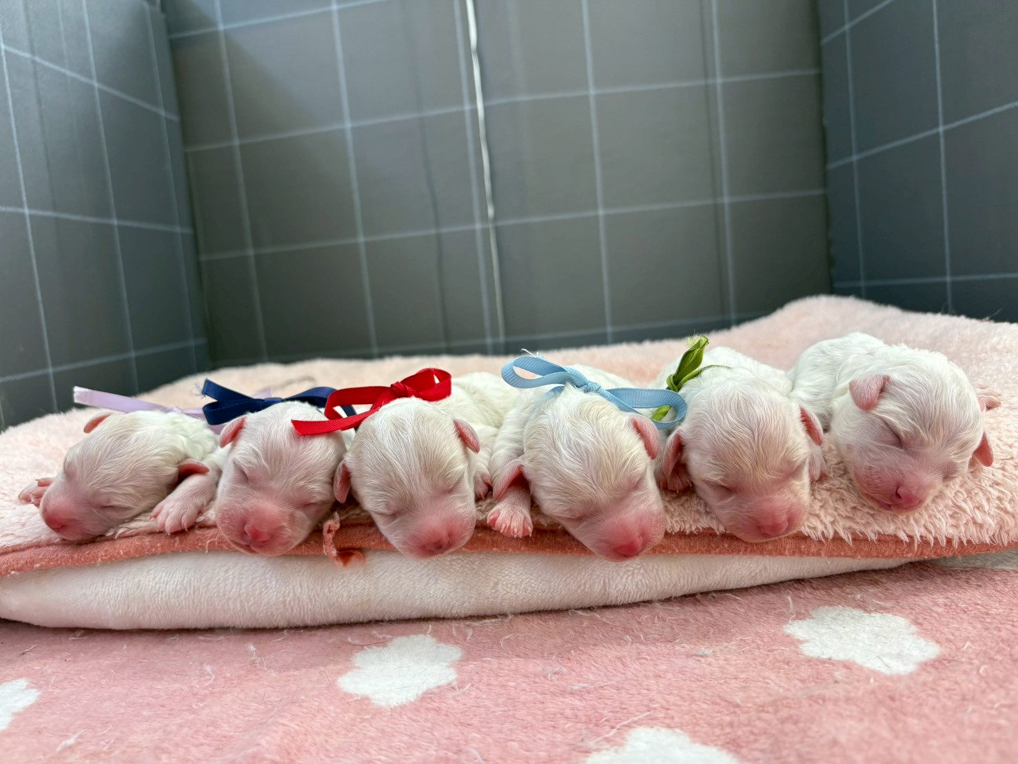赤ちゃん写真1-3