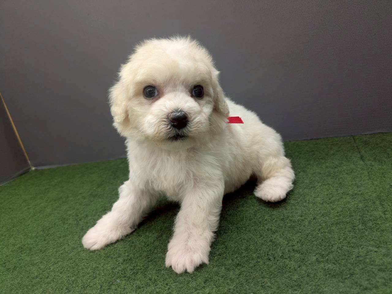 赤ちゃん写真2-2