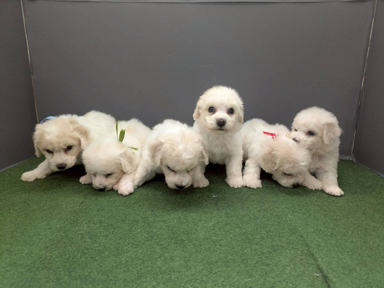 赤ちゃん写真2-3