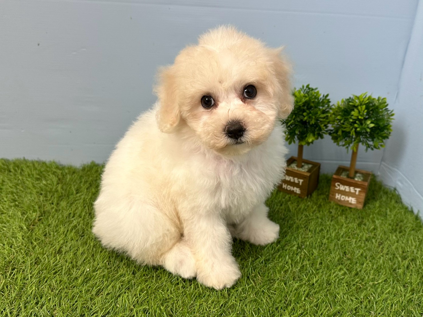 赤ちゃん写真3-2