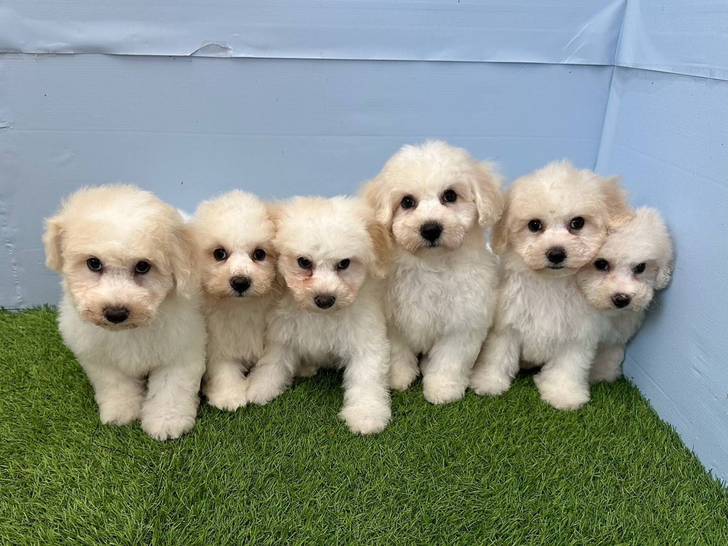 赤ちゃん写真3-3