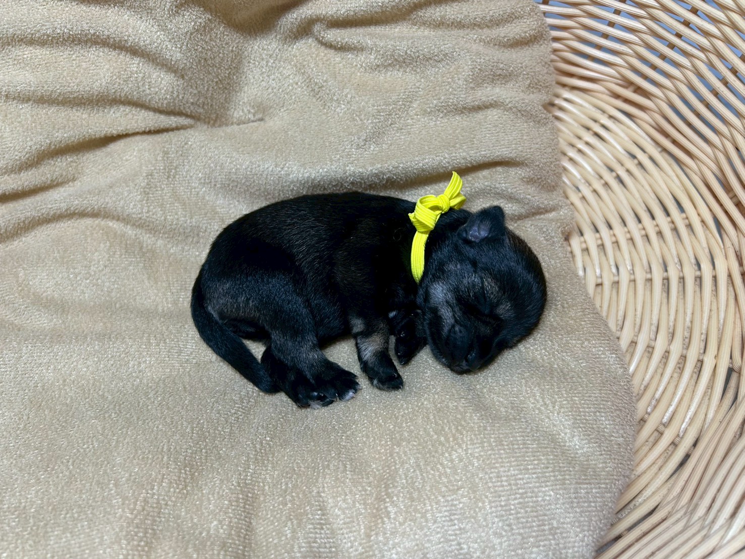 赤ちゃん写真1-2