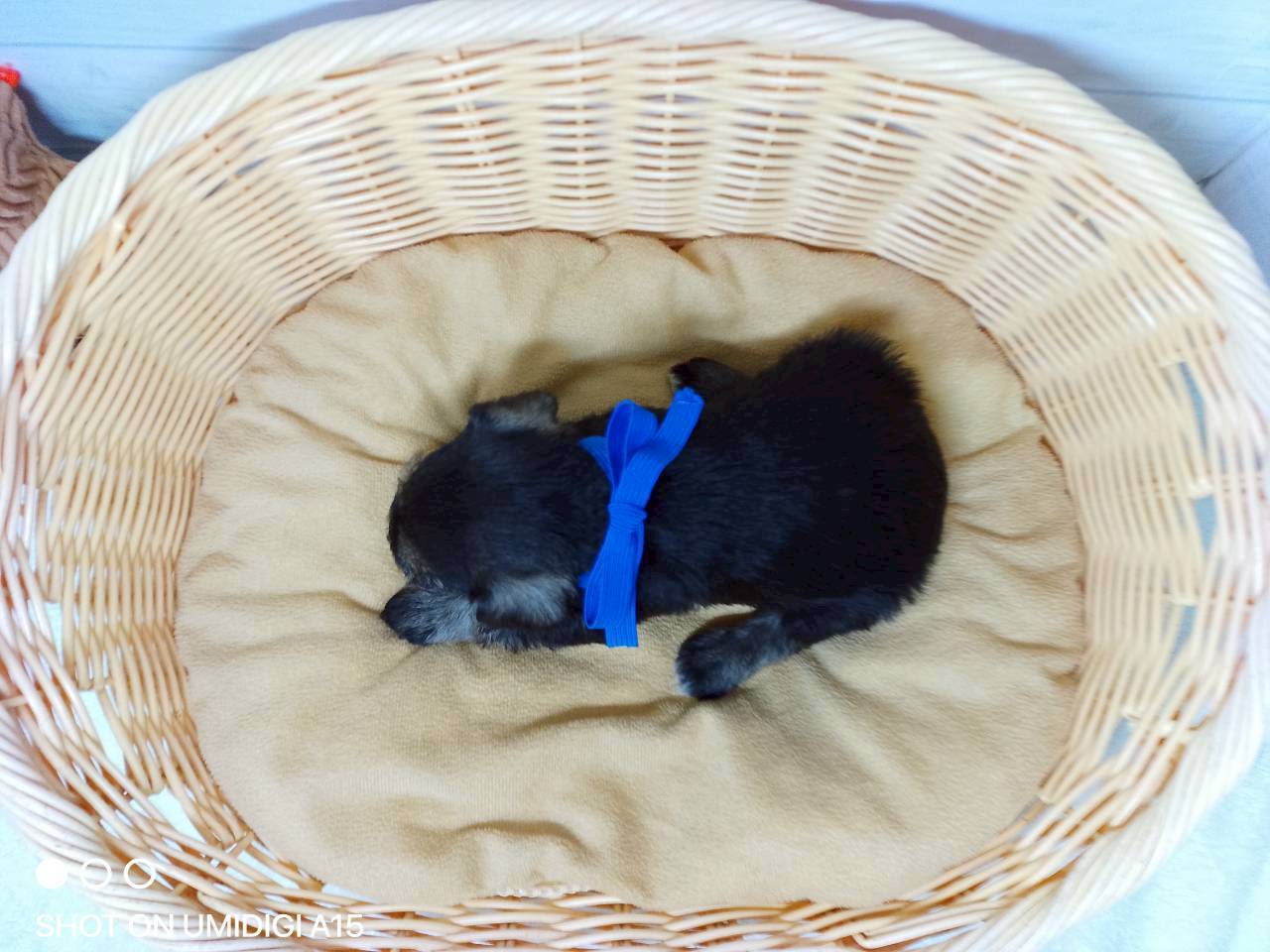 赤ちゃん写真2-3