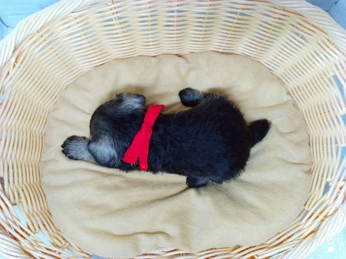赤ちゃん写真2-3
