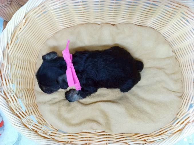 赤ちゃん写真2-3