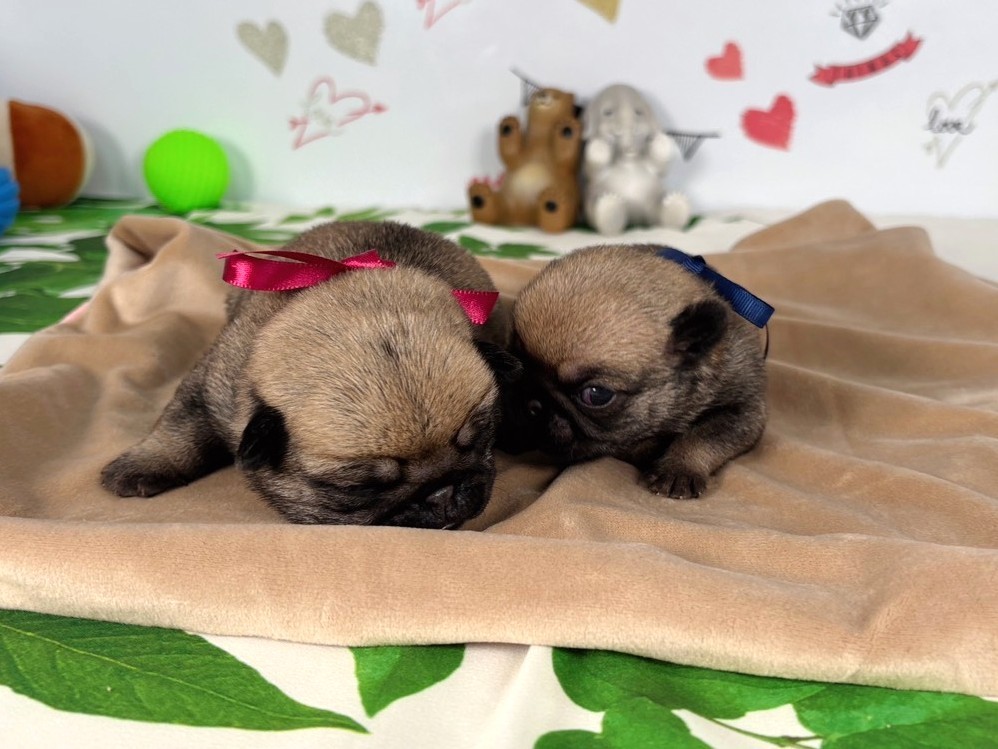 赤ちゃん写真1-3