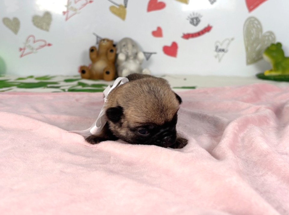 赤ちゃん写真1-1