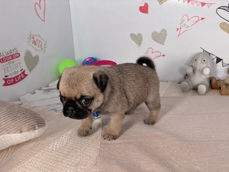 赤ちゃん写真2-2