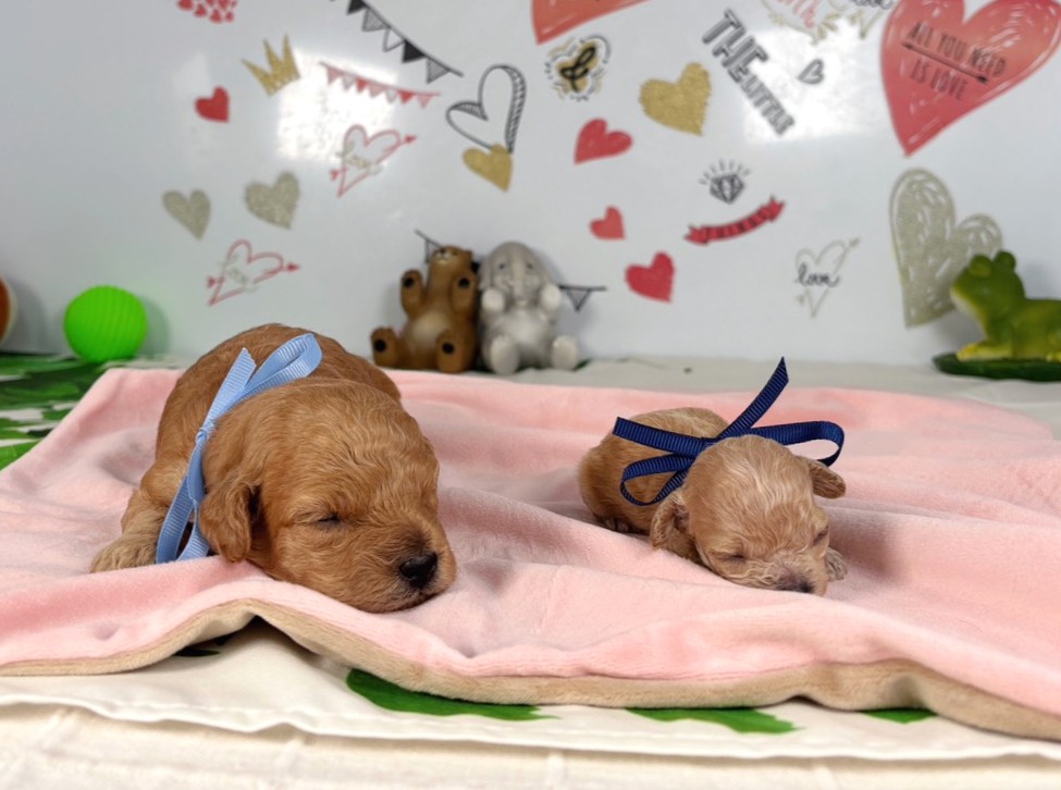 赤ちゃん写真1-3