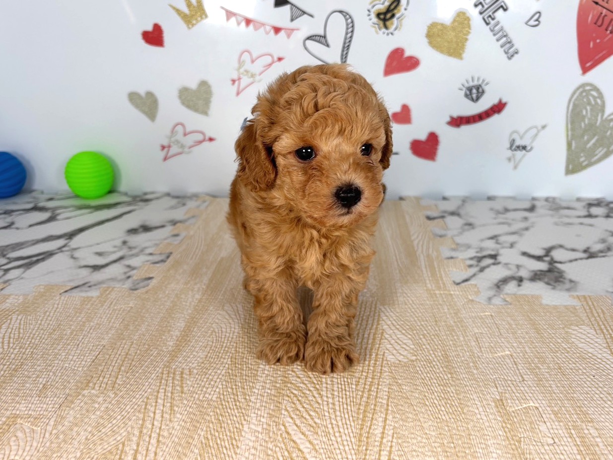 赤ちゃん写真2-1
