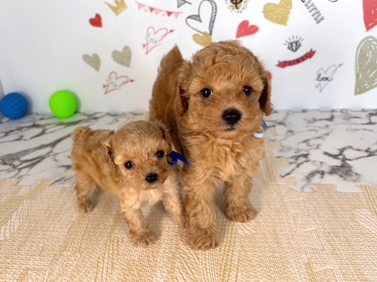 赤ちゃん写真2-3