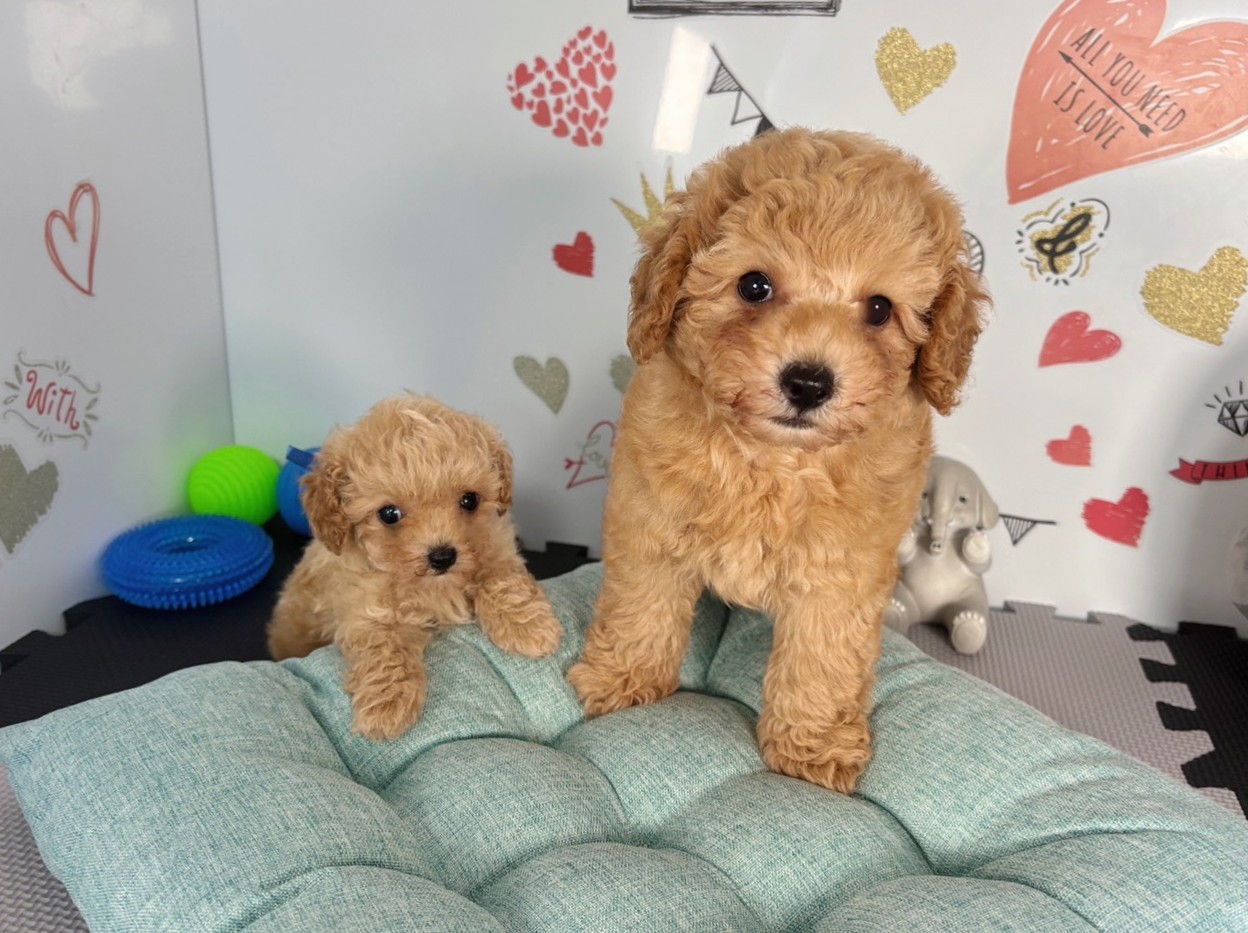 赤ちゃん写真3-3