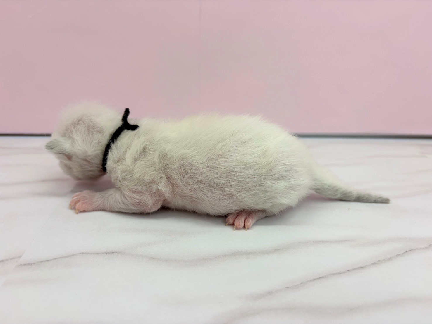 赤ちゃん写真1-2