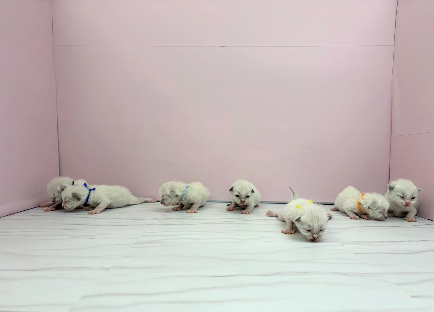 赤ちゃん写真1-3