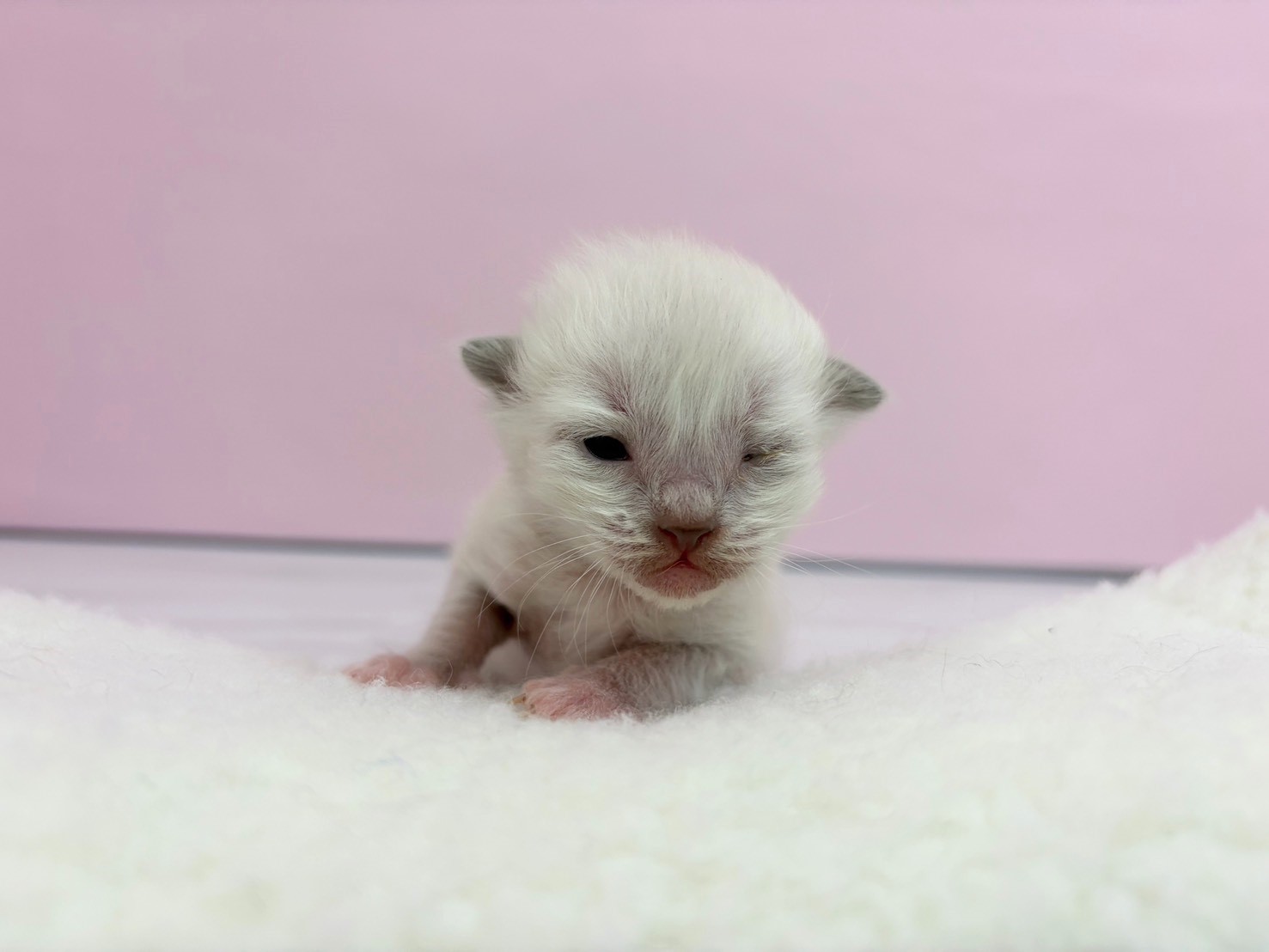 赤ちゃん写真1-1