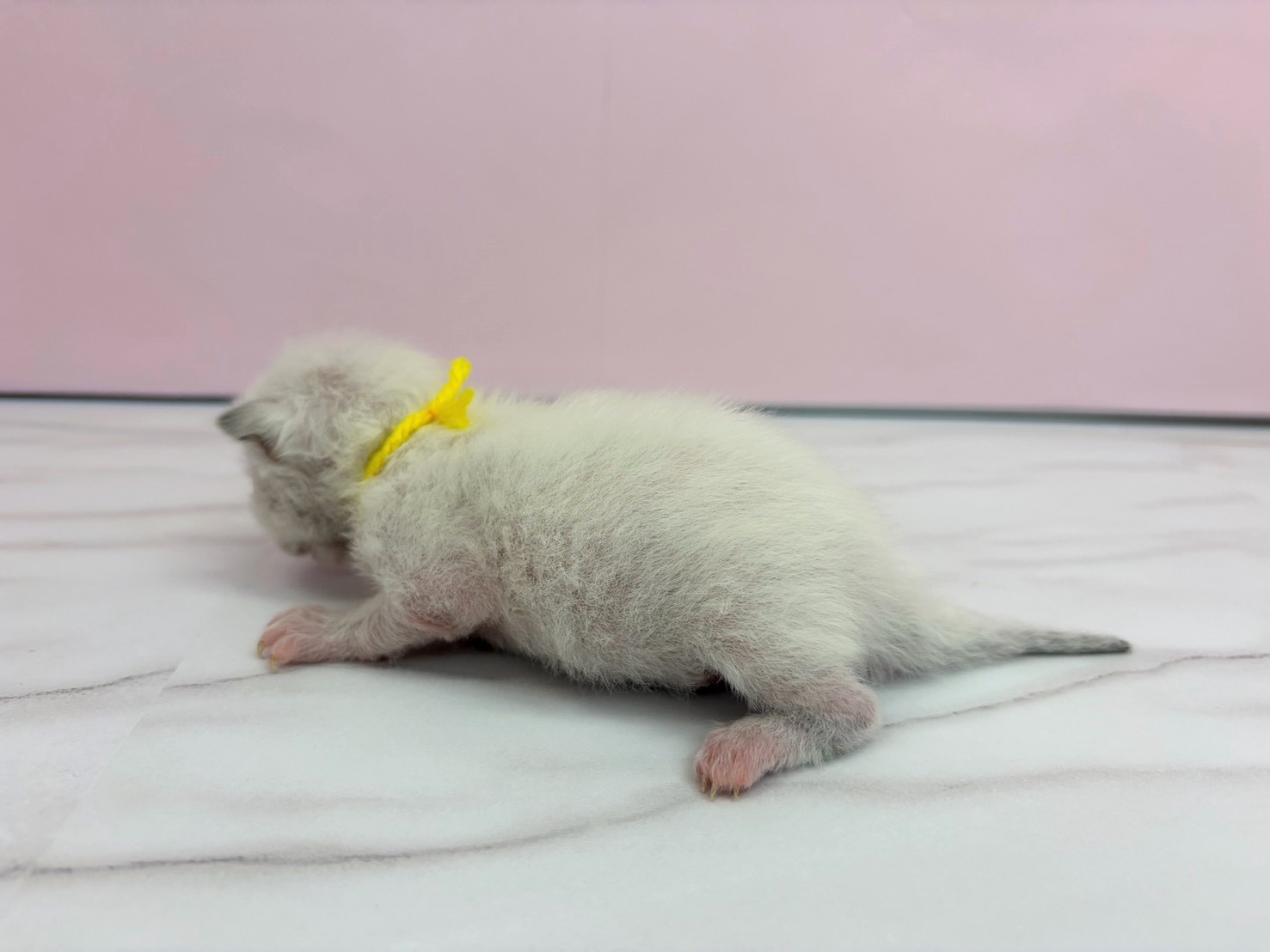 赤ちゃん写真1-2