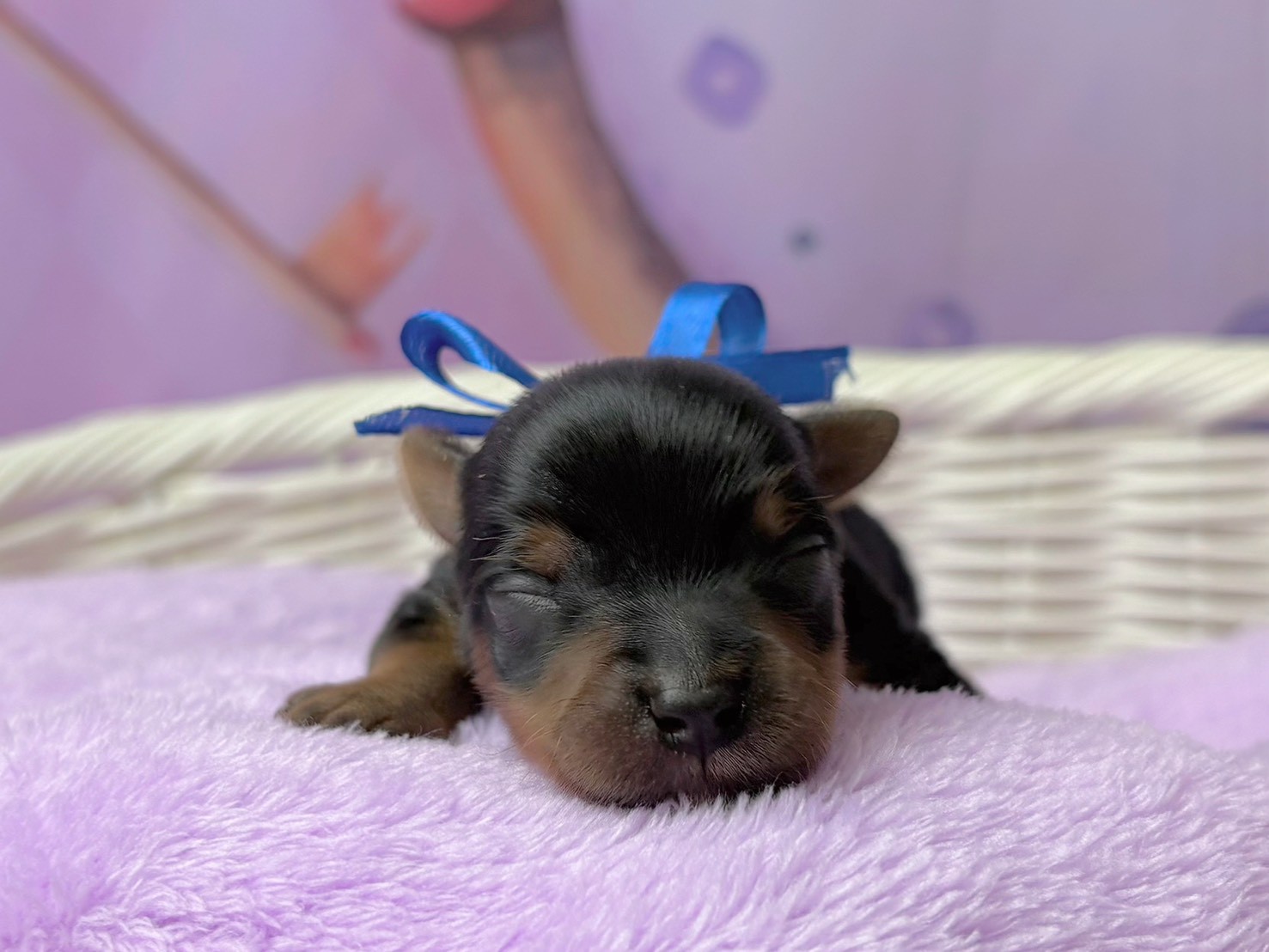 赤ちゃん写真1-1
