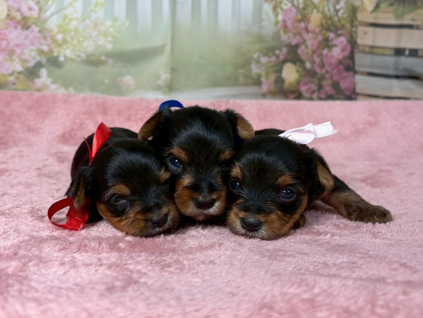 赤ちゃん写真2-3