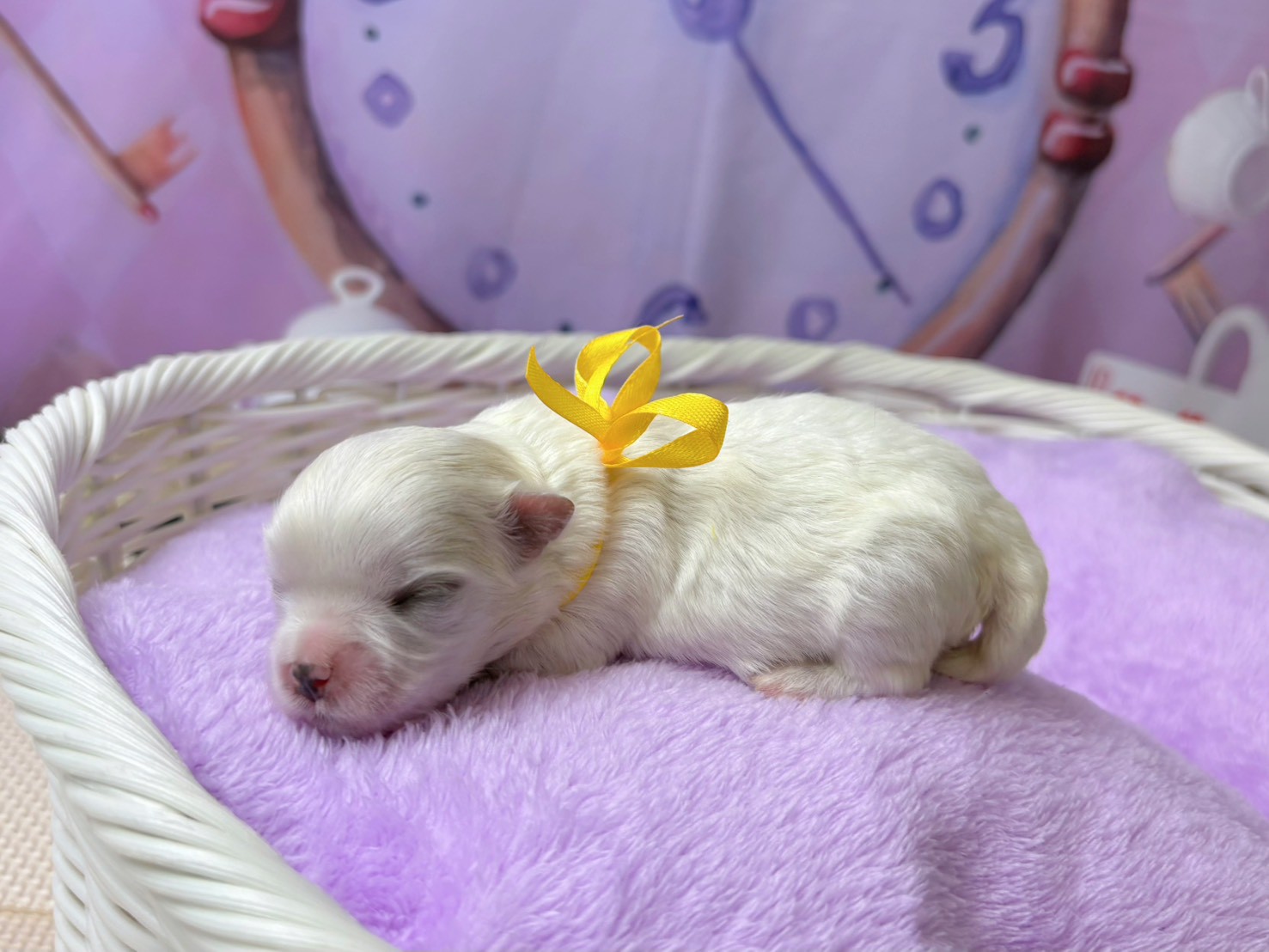 赤ちゃん写真1-2