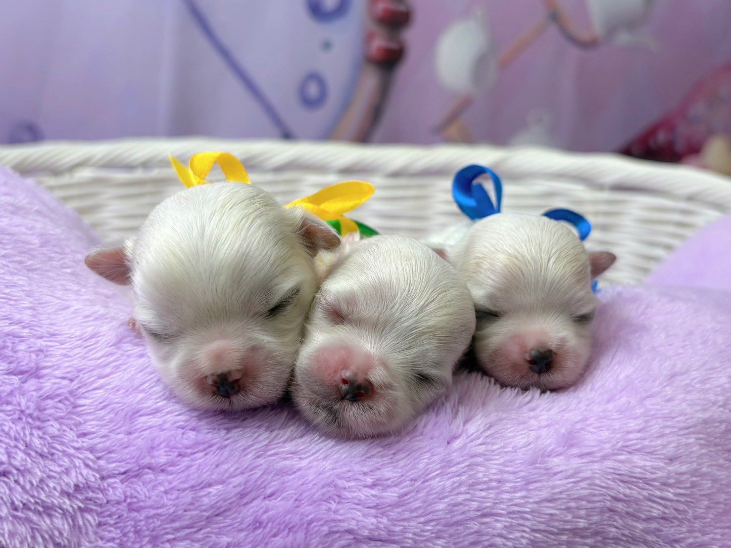 赤ちゃん写真1-3
