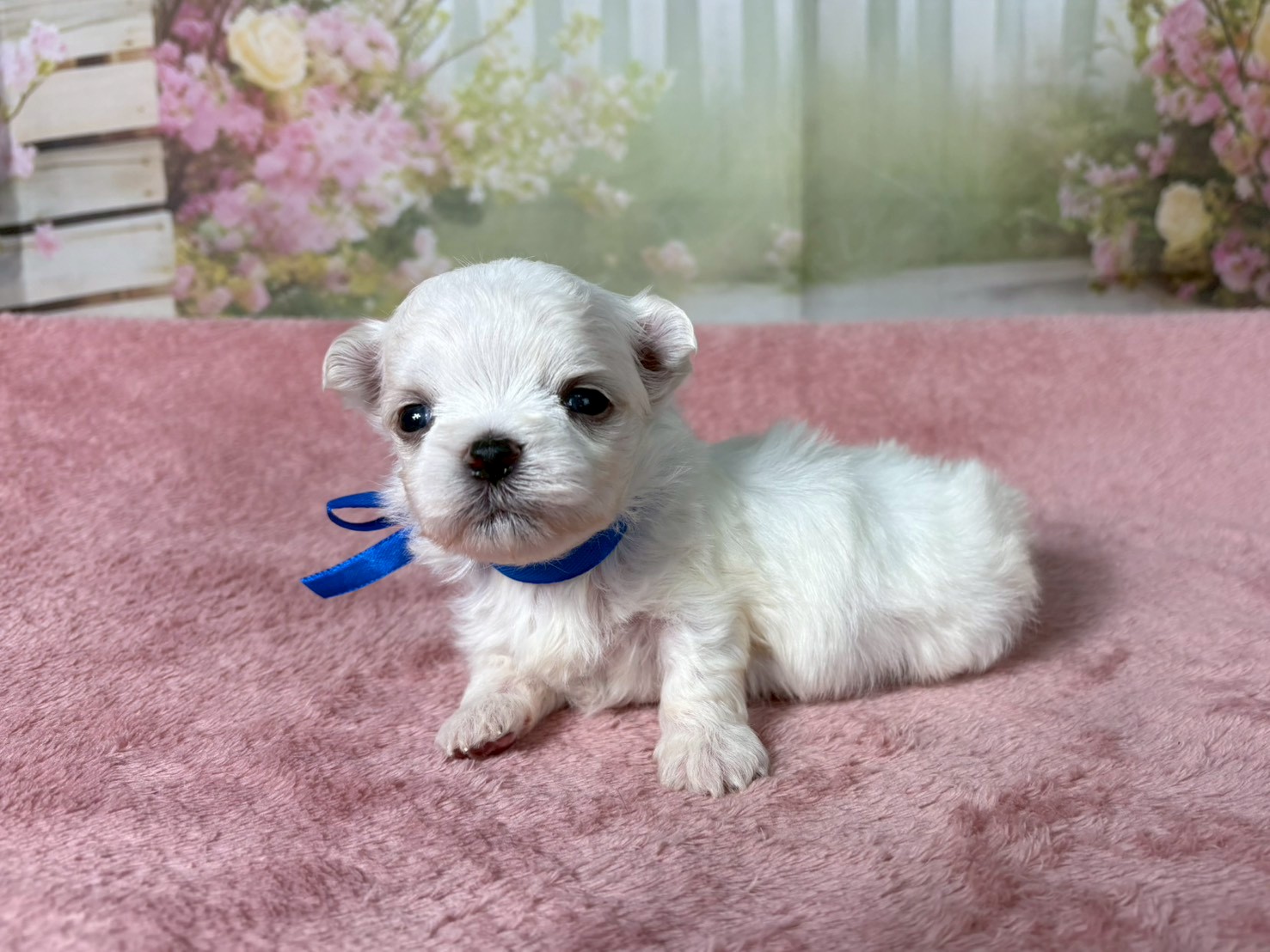 赤ちゃん写真2-2