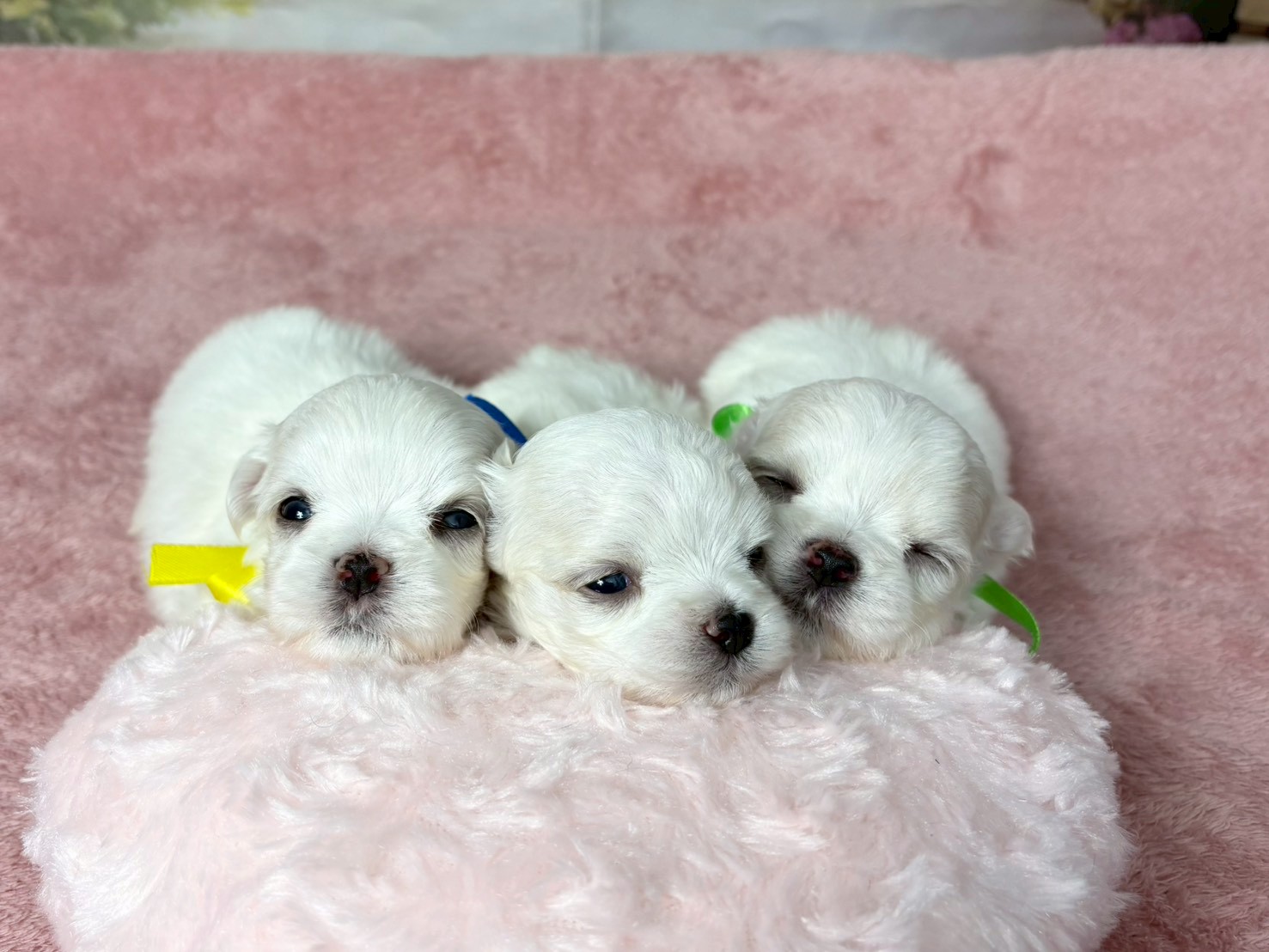 赤ちゃん写真2-3