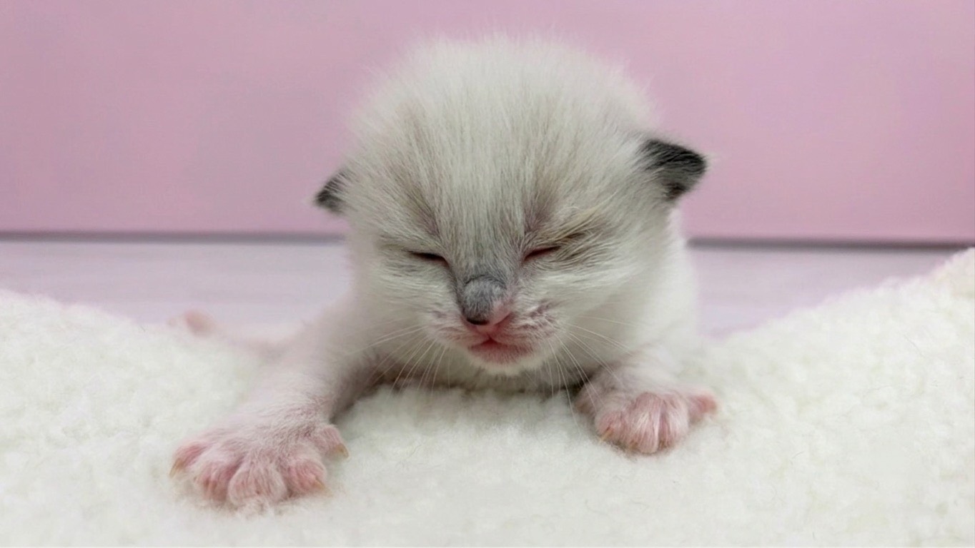 赤ちゃん写真1-1