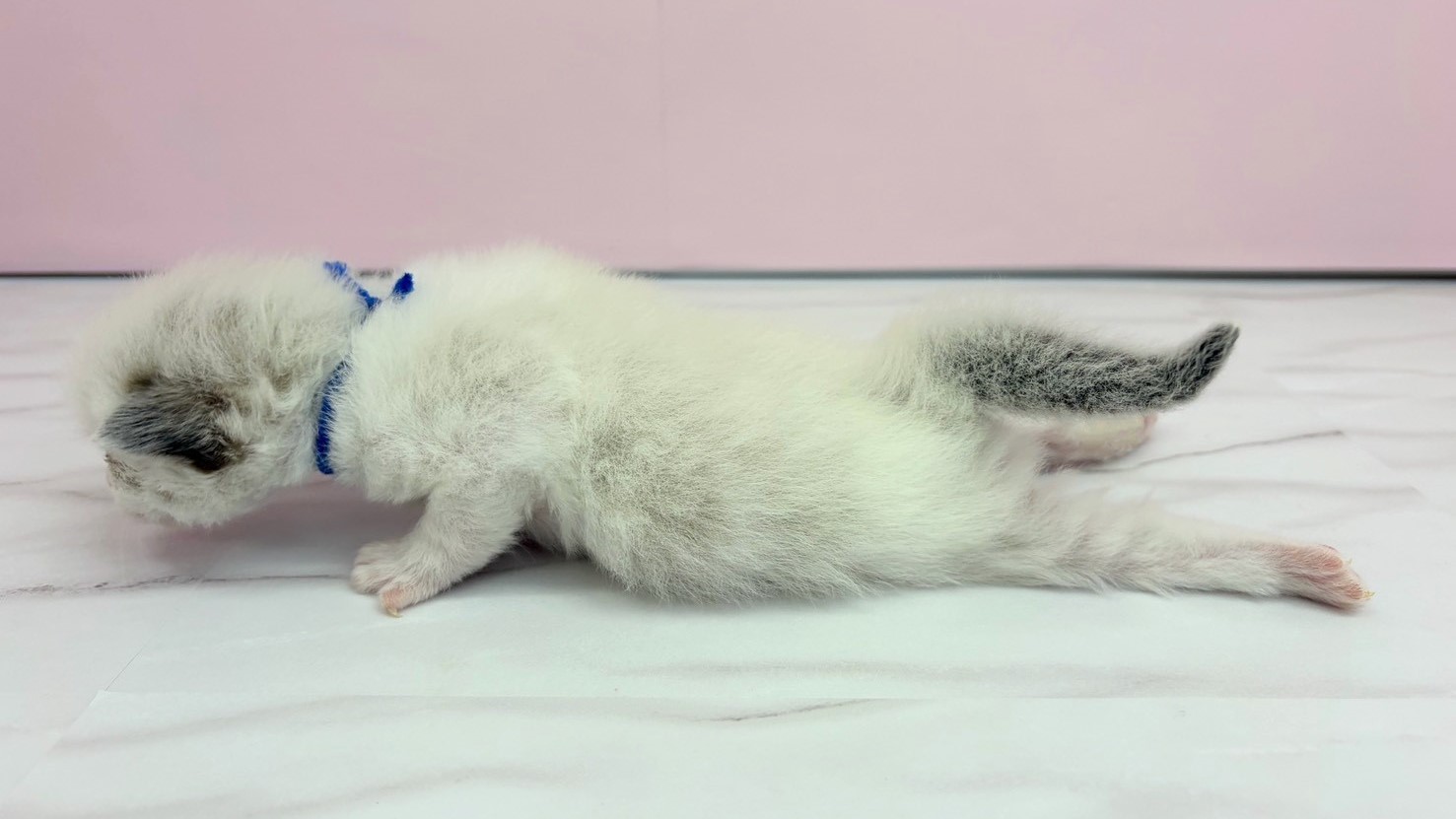 赤ちゃん写真1-2