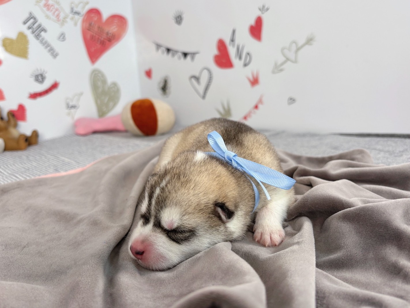 赤ちゃん写真1-1