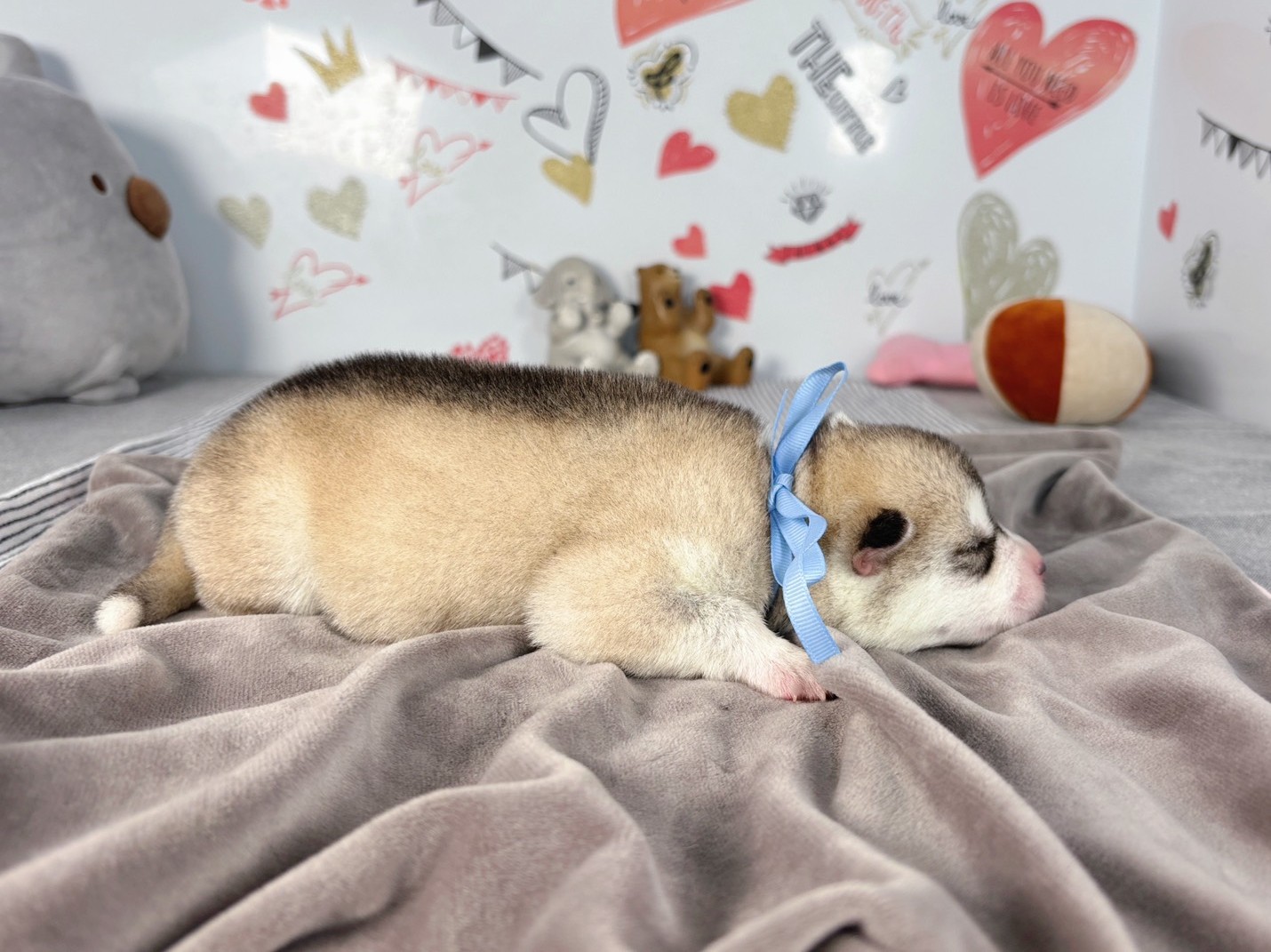 赤ちゃん写真1-2