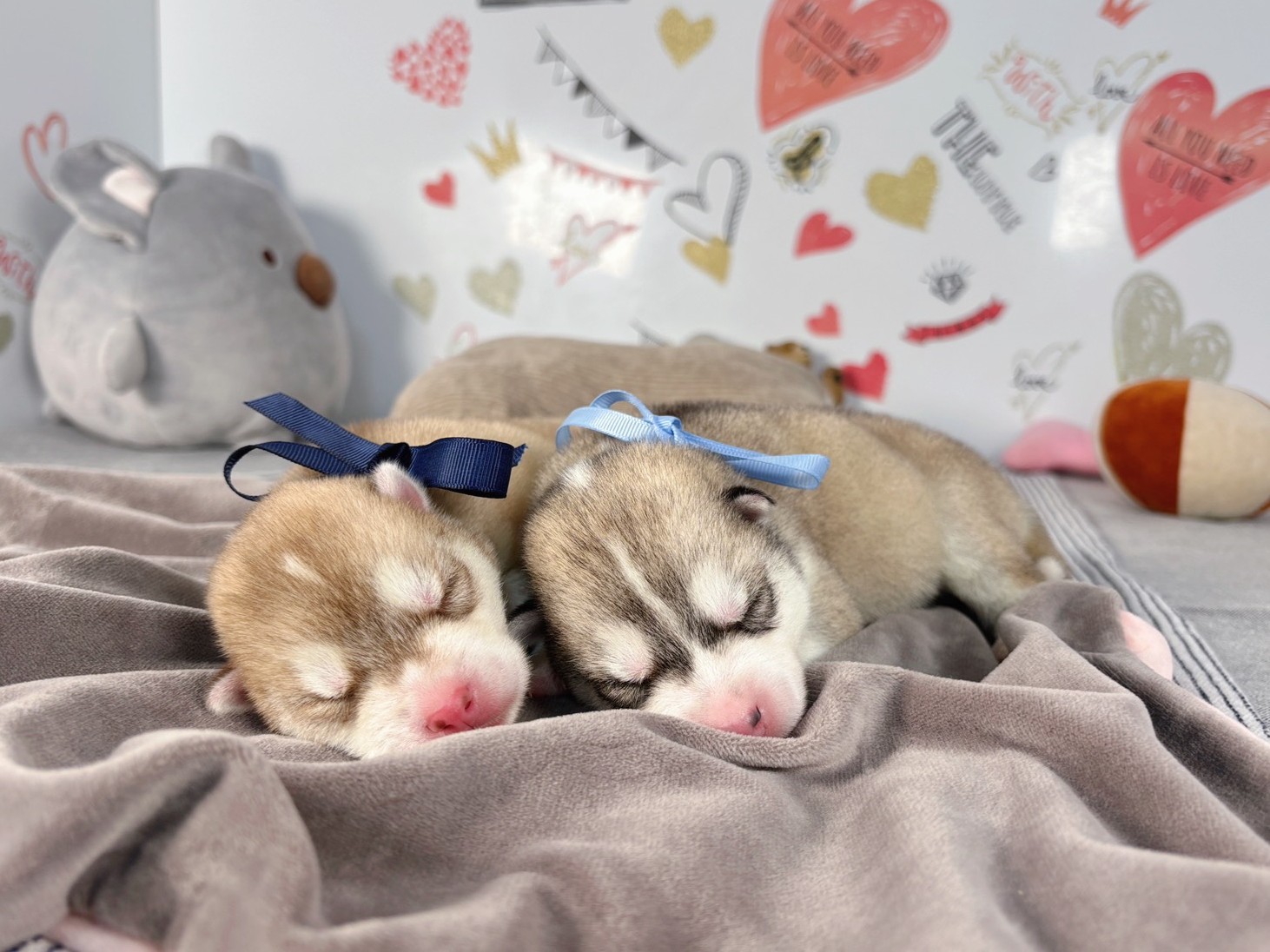 赤ちゃん写真1-3
