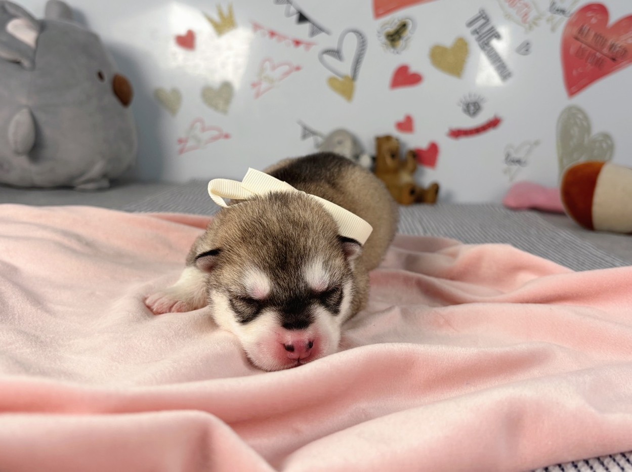 赤ちゃん写真1-1