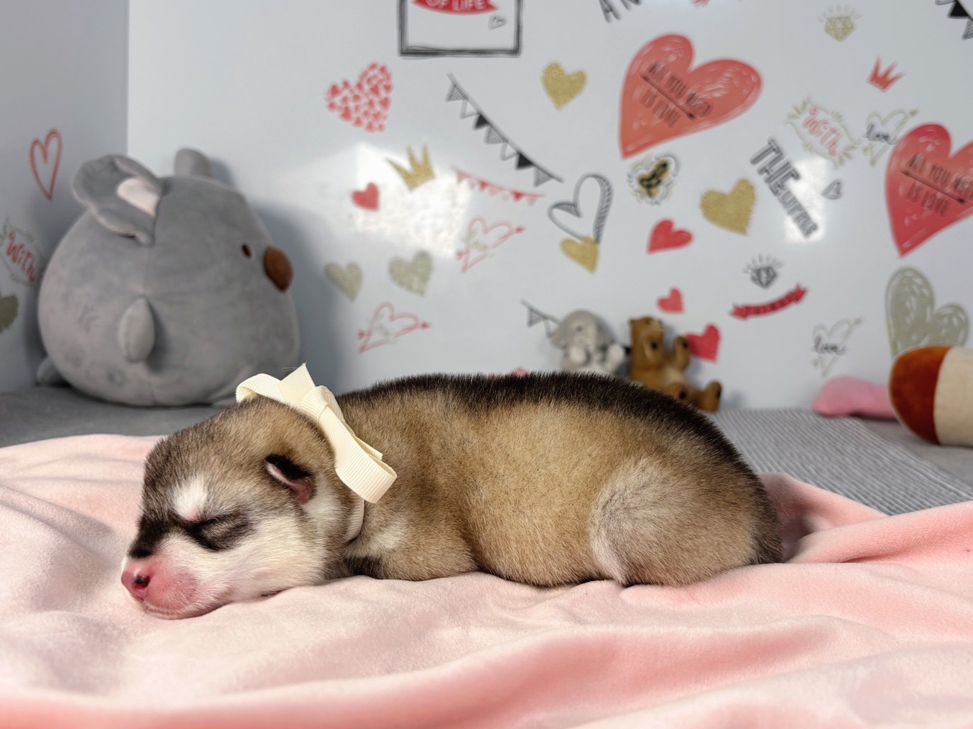 赤ちゃん写真1-2