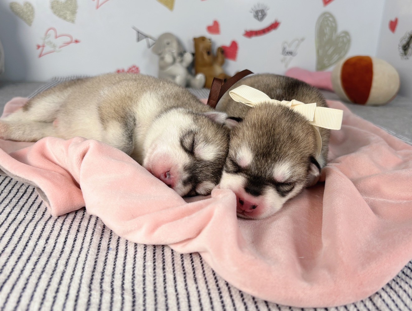 赤ちゃん写真1-3