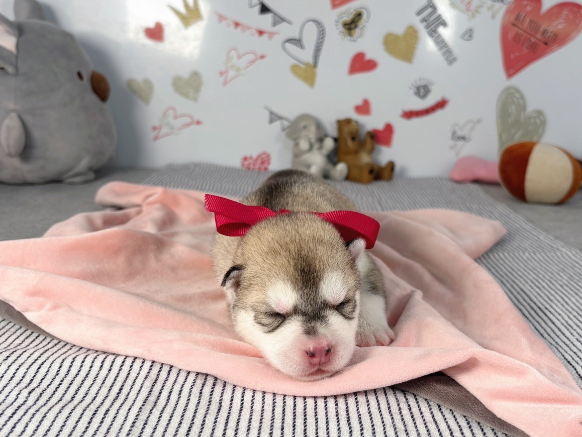 赤ちゃん写真1-1