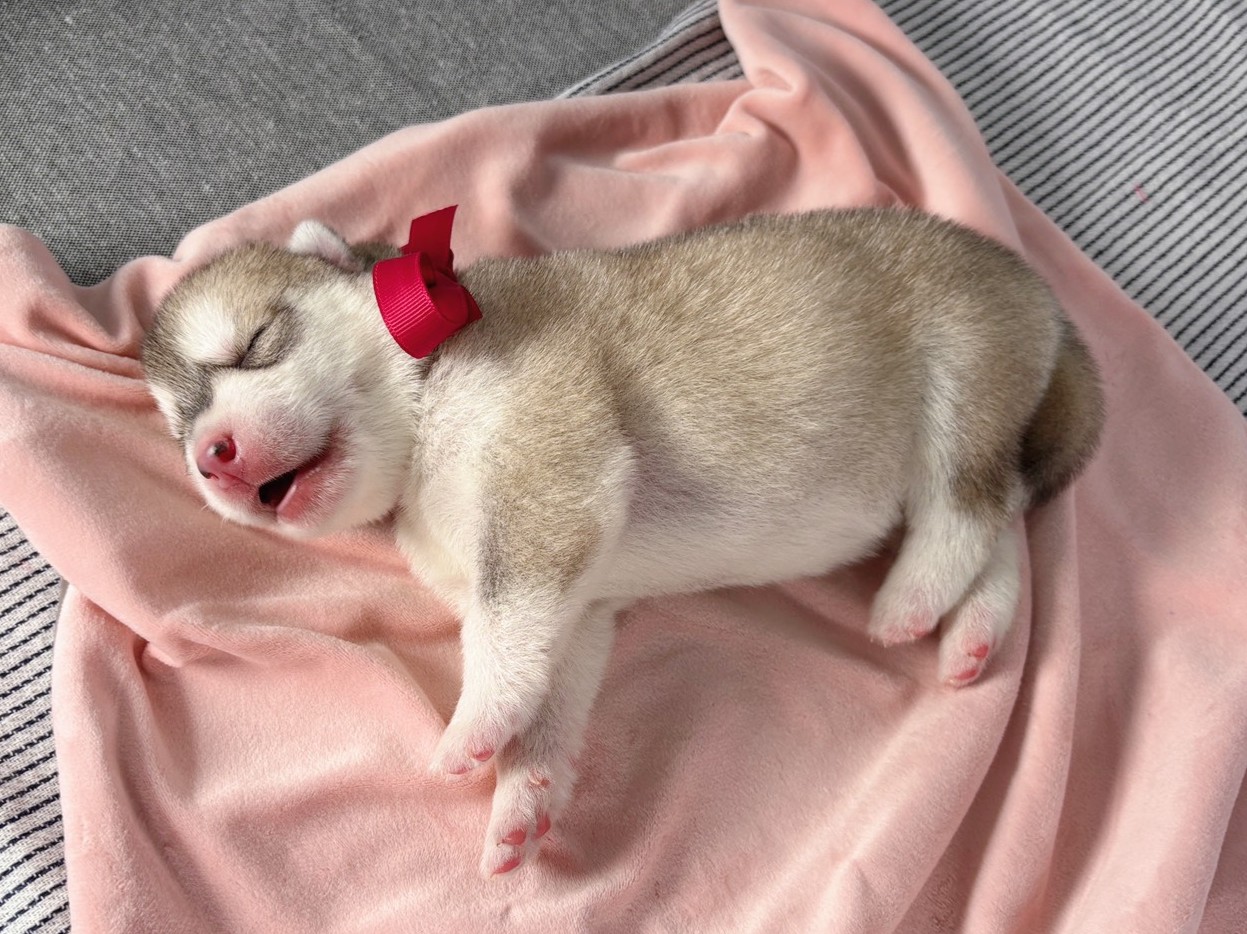 赤ちゃん写真1-2