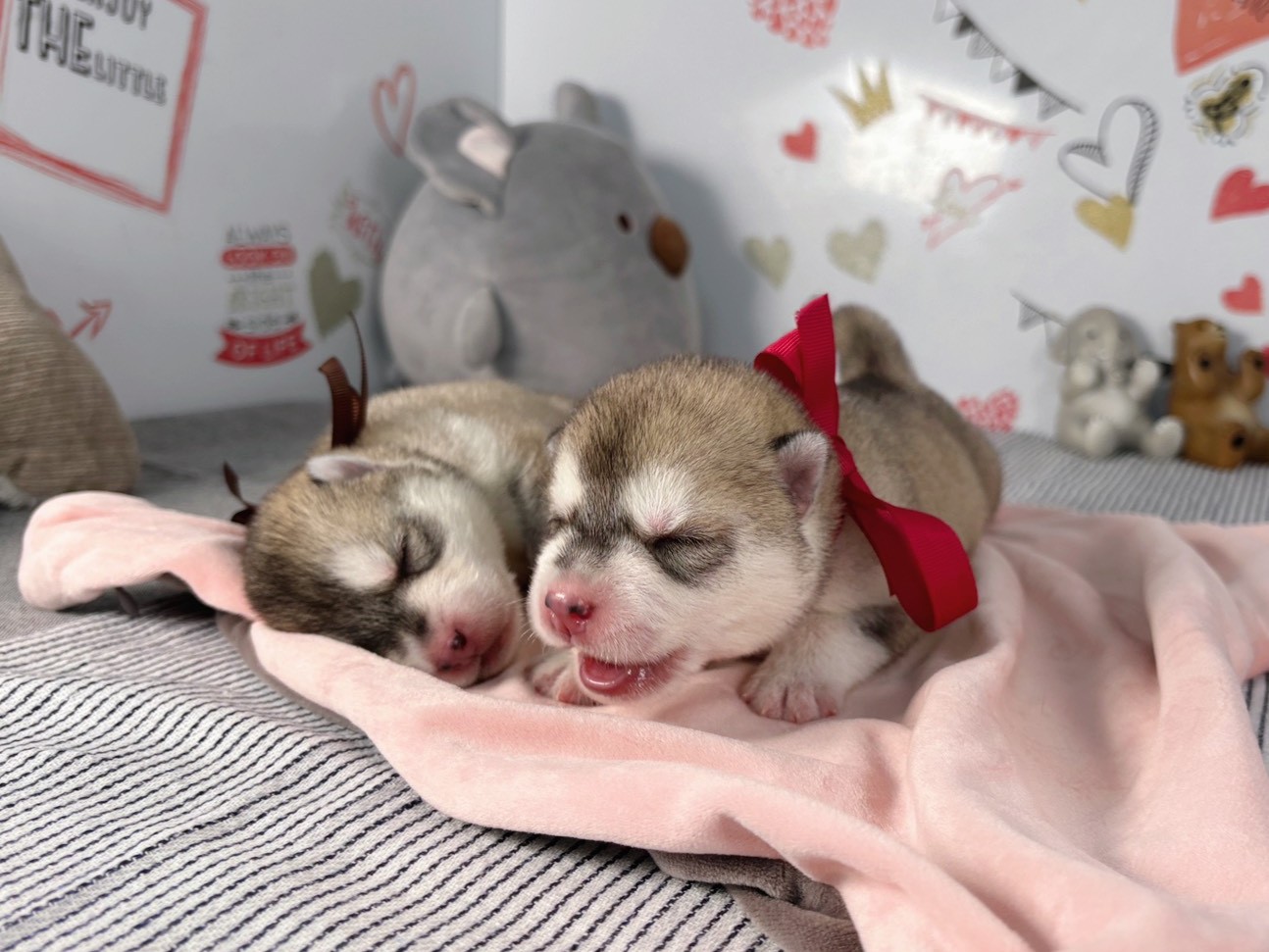 赤ちゃん写真1-3