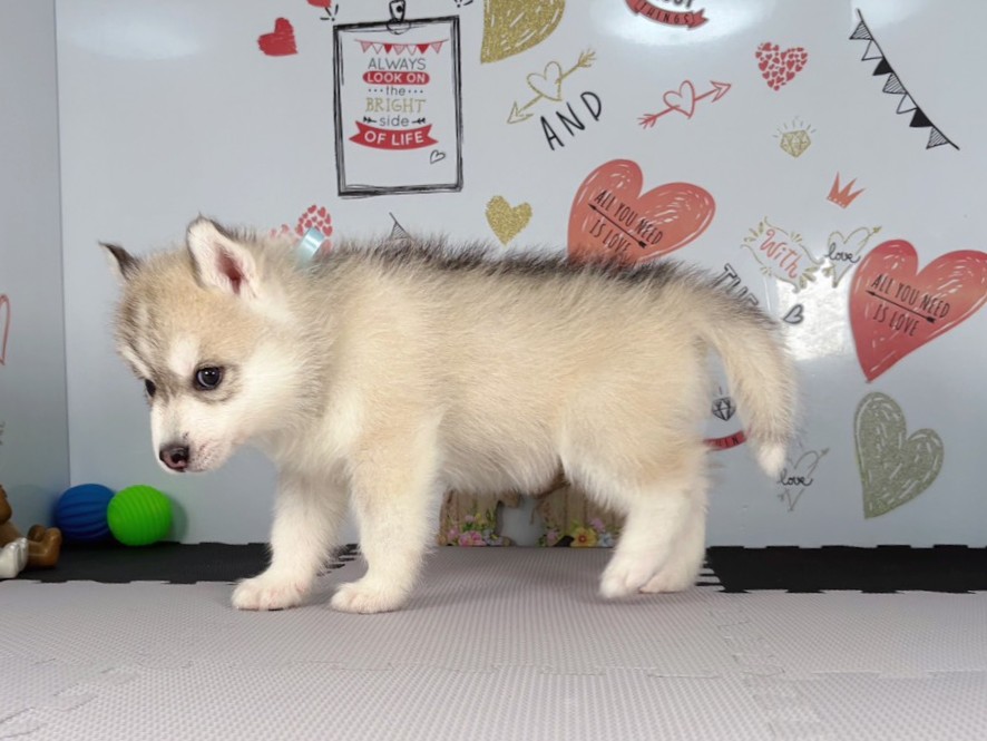 赤ちゃん写真2-2