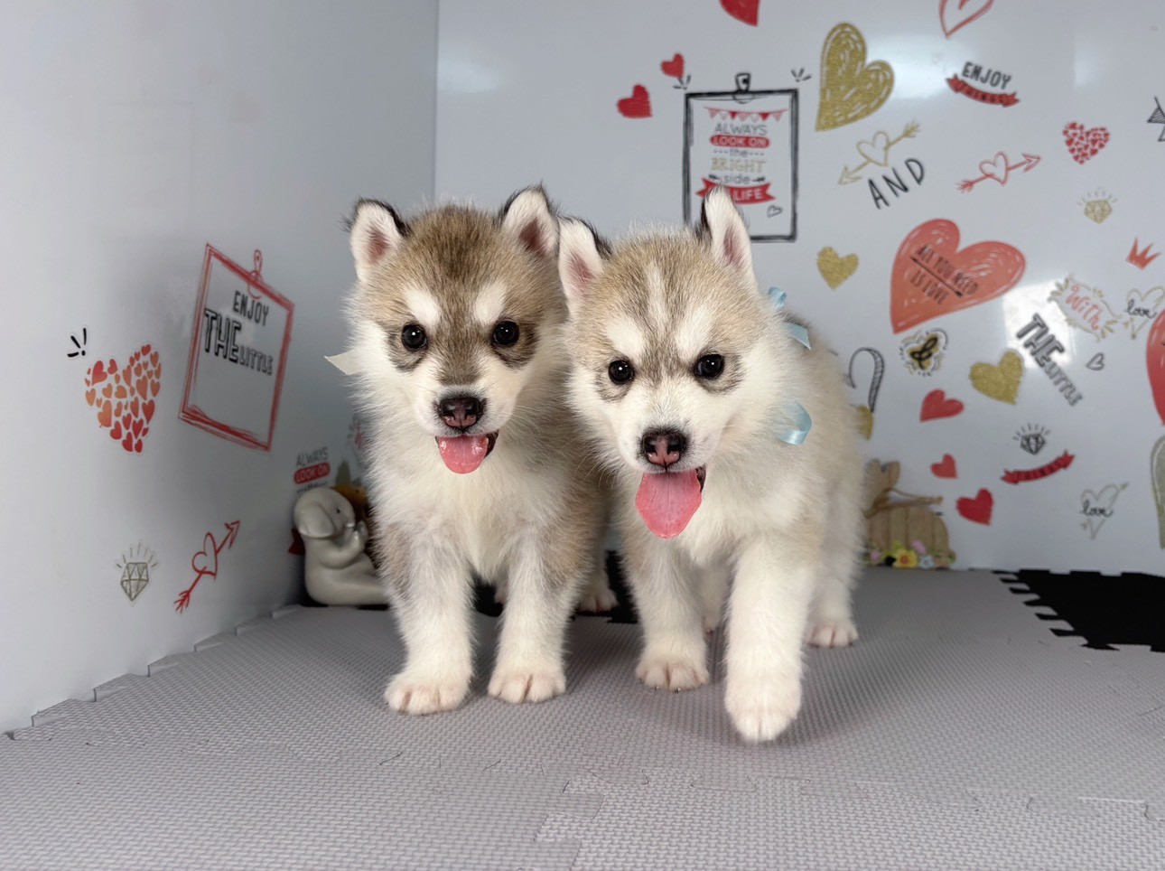赤ちゃん写真2-3