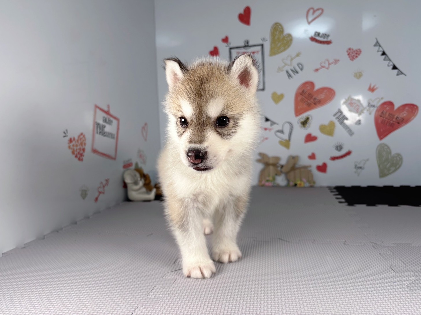赤ちゃん写真2-1