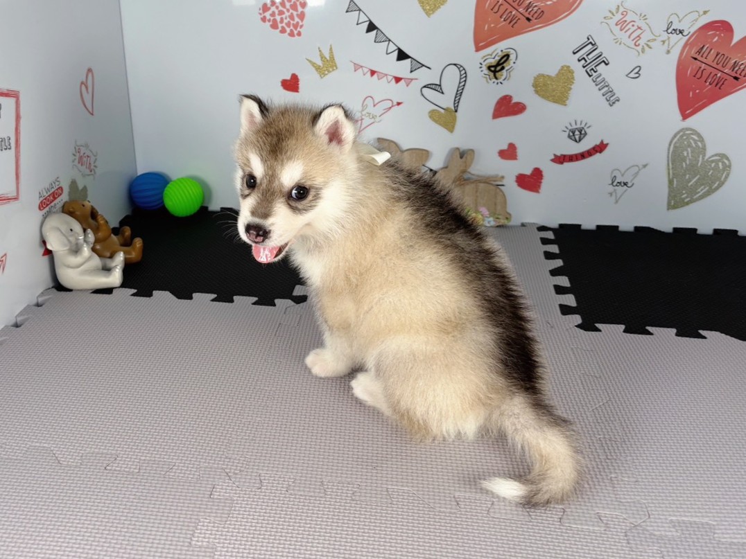 赤ちゃん写真2-2
