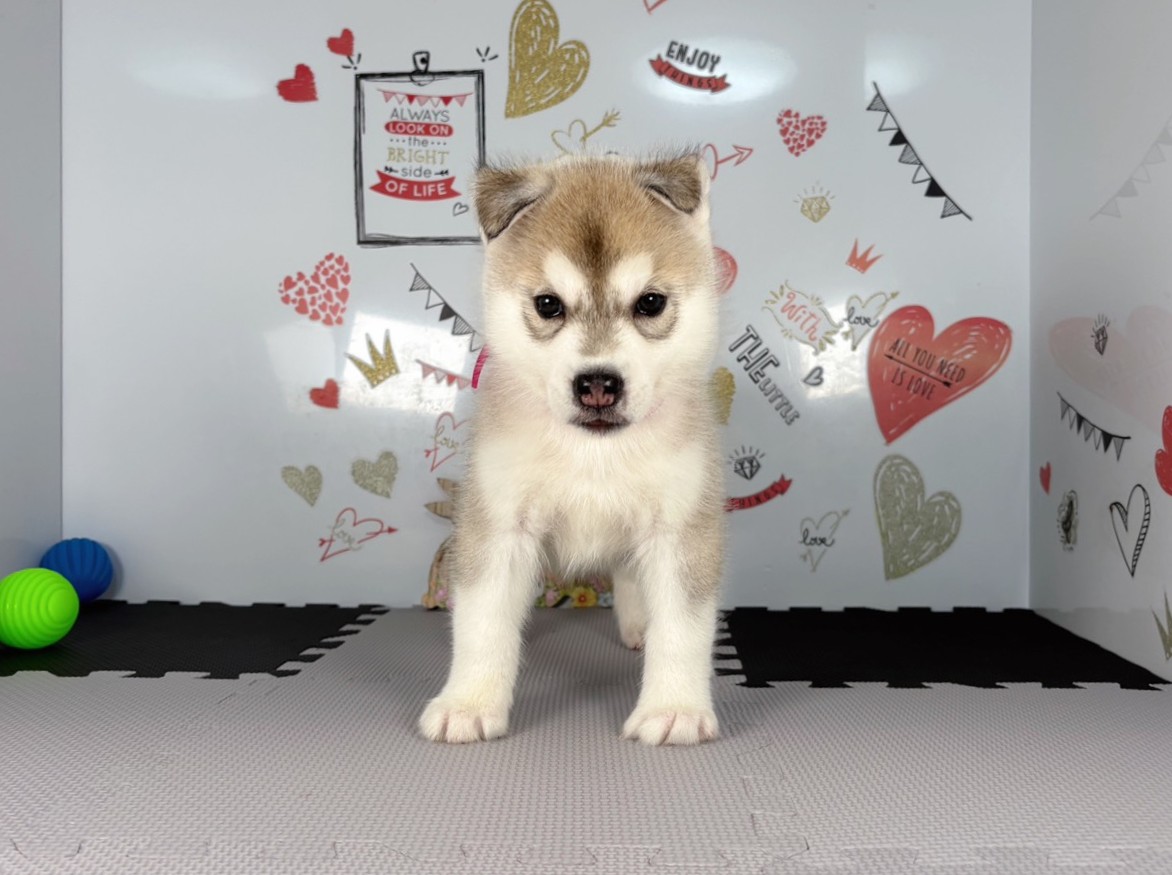 赤ちゃん写真2-1
