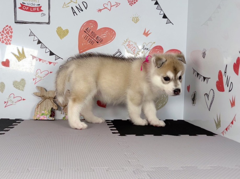 赤ちゃん写真2-2
