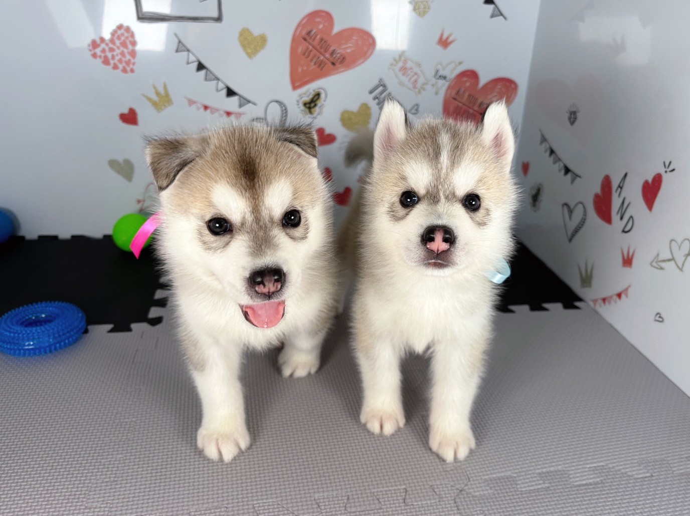 赤ちゃん写真2-3